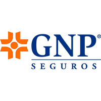 GNP